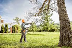 Best Storm Damage Tree Cleanup  in Hobart, WA